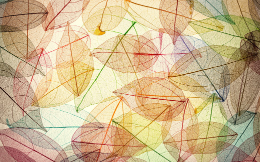 964584 (a): :2880x1800